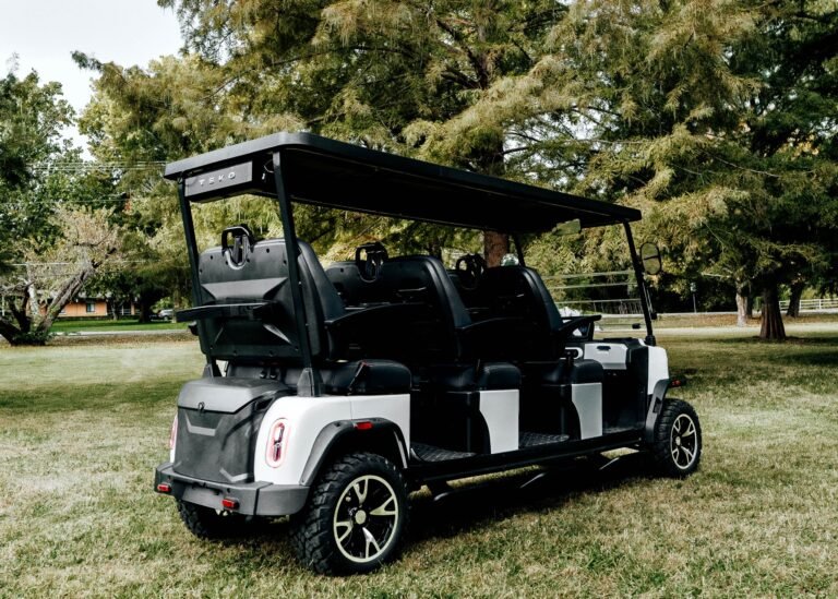 carrito-teko-triumph-parte-trasera